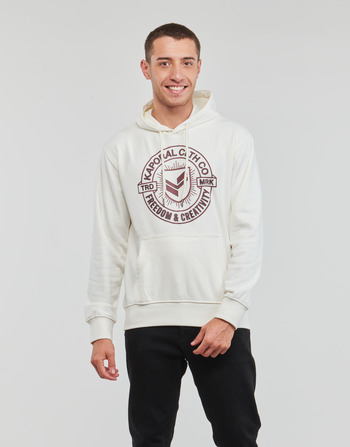 Textiel Heren Sweaters / Sweatshirts Kaporal REMI Beige
