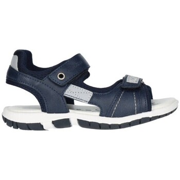 Schoenen Jongens Sandalen / Open schoenen Chicco FARRET 800 Niño Azul marino Blauw