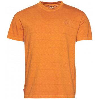 Textiel Heren T-shirts & Polo’s Superdry Vintage texture Orange