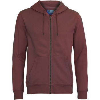 Textiel Sweaters / Sweatshirts Colorful Standard Sweatshirt Zippé à capuche  Classic Organic Brown