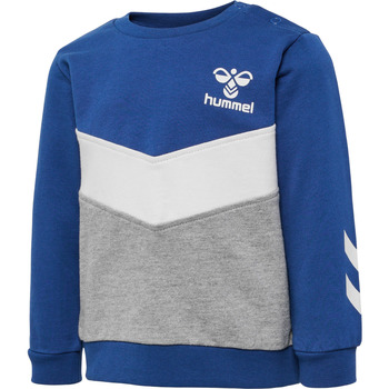 Textiel Kinderen Sweaters / Sweatshirts hummel Sweatshirt bébé  hmlSkye Blauw