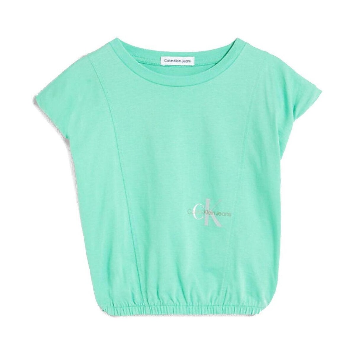 Textiel Meisjes T-shirts korte mouwen Calvin Klein Jeans  Groen
