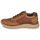Schoenen Heren Lage sneakers Rieker B0601-24 Brown