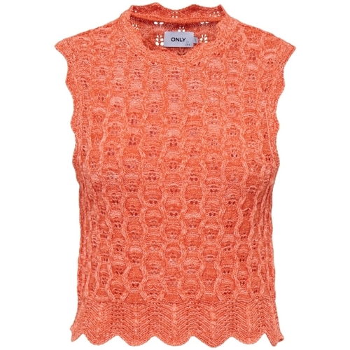 Textiel Dames Truien Only Top Luna Life - Orange Peel Orange