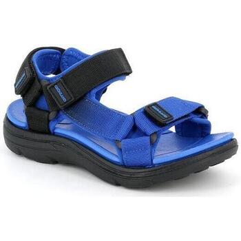 Schoenen Kinderen Sandalen / Open schoenen Grunland DSG-SA1195 Blauw