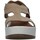 Schoenen Dames Sandalen / Open schoenen IgI&CO 3667300 Beige