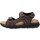 Schoenen Heren Sandalen / Open schoenen Valleverde VV-36921 Brown