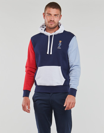 Textiel Heren Sweaters / Sweatshirts Polo Ralph Lauren SWEATSHIRT CAPUCHE COLORBLOCK BEAR BRODé Multicolour / Cruise / Navy / Regatta