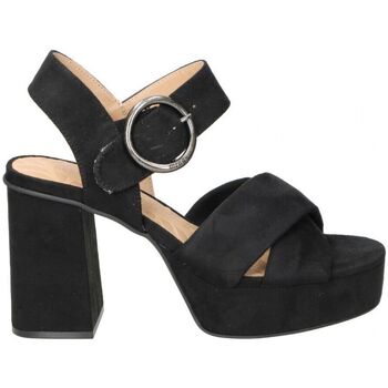 Schoenen Dames Sandalen / Open schoenen MTNG 53402 Zwart