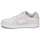 Schoenen Dames Lage sneakers DC Shoes MANTECA 4 Beige / Wit