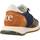 Schoenen Heren Sneakers Cetti C1301ANTE V23 Multicolour