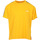 Textiel Dames T-shirts korte mouwen Fila Adalmiina Tee Wn's Orange