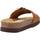 Schoenen Dames Sandalen / Open schoenen Geox D BRIONIA HIGH L Brown