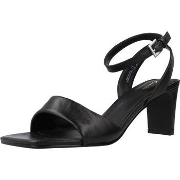 Schoenen Dames Sandalen / Open schoenen Clarks SEREN65 STRAP Zwart
