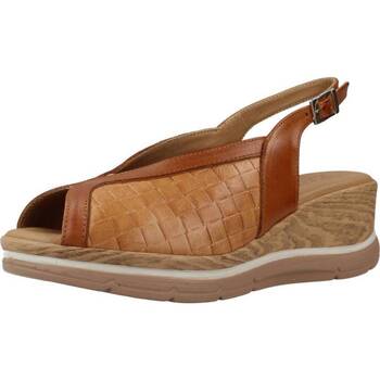 Schoenen Dames Sandalen / Open schoenen Pitillos 5024P Brown