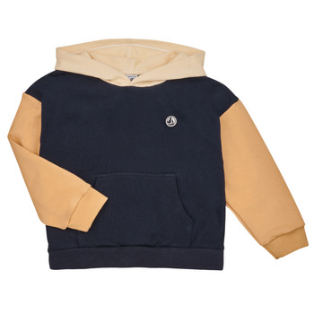 Textiel Jongens Sweaters / Sweatshirts Petit Bateau LIVIO Marine / Brown / Wit