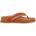 Schoenen Dames Sandalen / Open schoenen Gioseppo itaja Brown