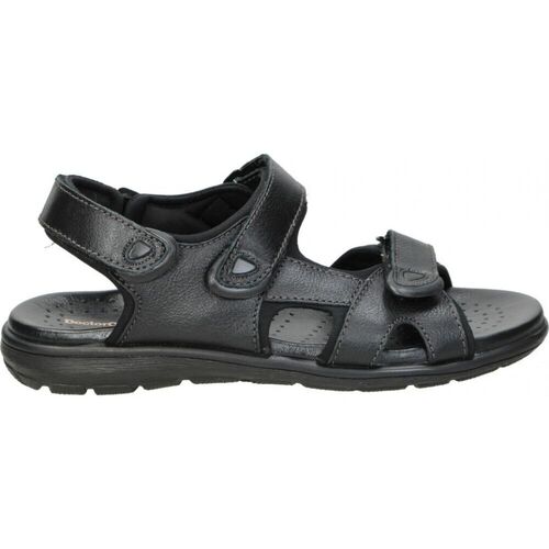 Schoenen Heren Sandalen / Open schoenen Doctor Cutillas 70115 Zwart