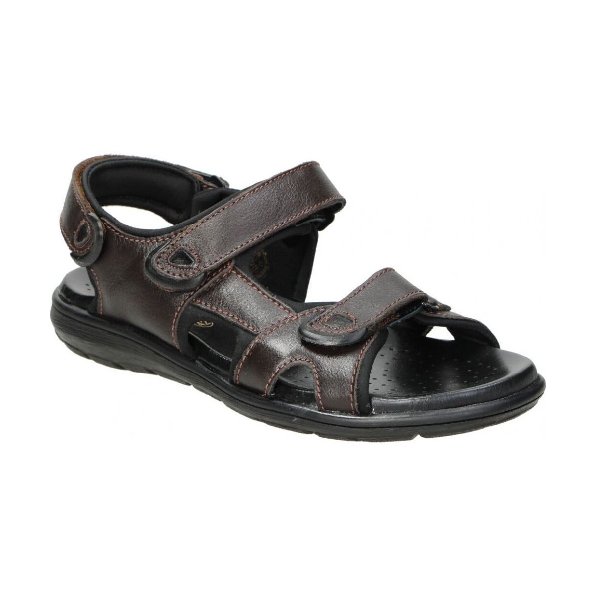 Schoenen Heren Sandalen / Open schoenen Doctor Cutillas 70115 Brown