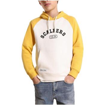 Textiel Jongens Sweaters / Sweatshirts Scalpers  Geel