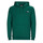 Textiel Heren Sweaters / Sweatshirts Puma ESS  2 COL SMALL LOGO HOODIE FL Groen / Donker