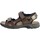 Schoenen Heren Sandalen / Open schoenen Rieker 160353 Brown