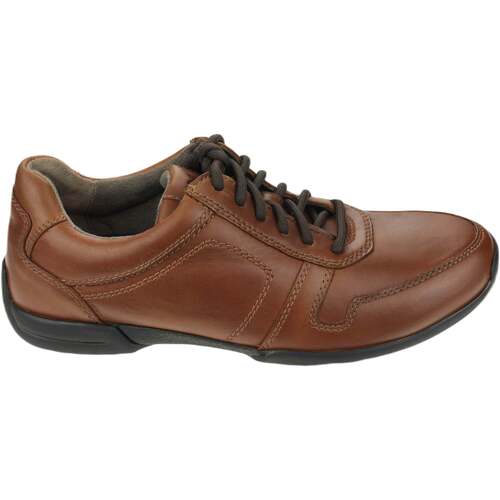 Schoenen Heren Sneakers Pius Gabor 1137.11.12 Brown