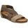 Schoenen Dames Sandalen / Open schoenen IgI&CO DSM 36960 Beige