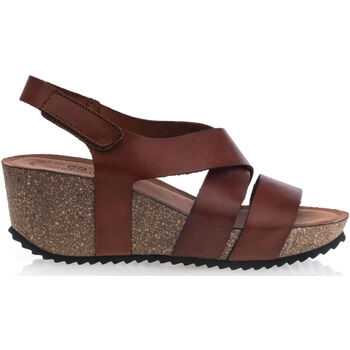 Schoenen Dames Sandalen / Open schoenen Alter Native sandalen / blootsvoets vrouw bruin Brown