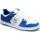 Schoenen Heren Skateschoenen DC Shoes Manteca 4 s Blauw