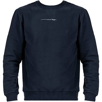 Textiel Heren Sweaters / Sweatshirts Pepe jeans PM582169 | David Blauw