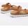 Schoenen Dames Sandalen / Open schoenen Panama Jack SELMA B7 Brown