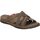 Schoenen Heren Sandalen / Open schoenen Walk & Fly 963-40111 Brown