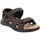 Schoenen Heren Sandalen / Open schoenen Axa -67120A Brown