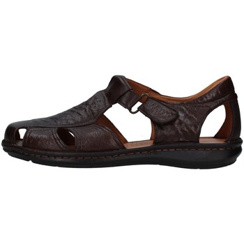 Schoenen Heren Sandalen / Open schoenen Melluso U75132D Brown