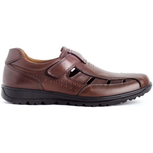 Schoenen Dames Sandalen / Open schoenen Imac 501320 Brown