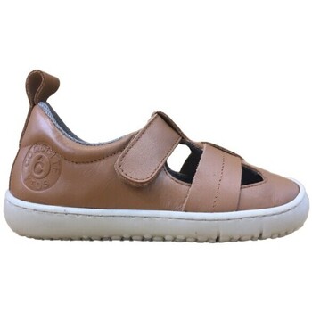 Schoenen Sandalen / Open schoenen Coquette 27421-24 Brown