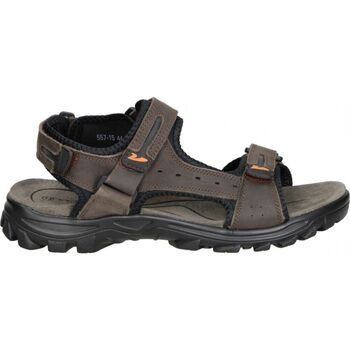 Schoenen Heren Sandalen / Open schoenen Vicmart 557-15 Brown