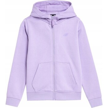 Textiel Meisjes Sweaters / Sweatshirts 4F JSS23TSWSF21652S Violet