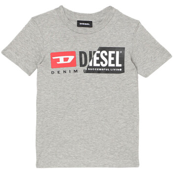 Textiel Kinderen T-shirts korte mouwen Diesel  Grijs