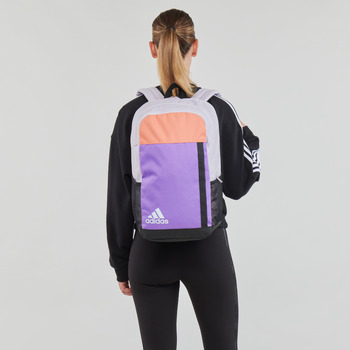 Adidas Sportswear MOTION BOS BP Violet / Grijs / Wit