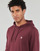 Textiel Heren Sweaters / Sweatshirts Element TAWNY PORT Bordeaux