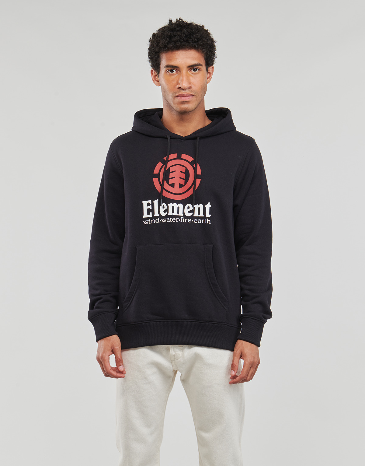 Textiel Heren Sweaters / Sweatshirts Element FLINT BLACK Zwart