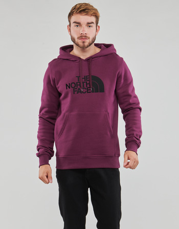 Textiel Heren Sweaters / Sweatshirts The North Face Drew Peak Pullover Hoodie - Eu Violet