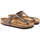 Schoenen Dames Sandalen / Open schoenen Birkenstock Gizeh BS Brown