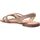 Schoenen Dames Sandalen / Open schoenen Les Petites Bombes Fidji Brown