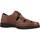Schoenen Heren Sandalen / Open schoenen Pitillos 4802P Brown