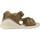 Schoenen Jongens Sandalen / Open schoenen Biomecanics 232165B Brown