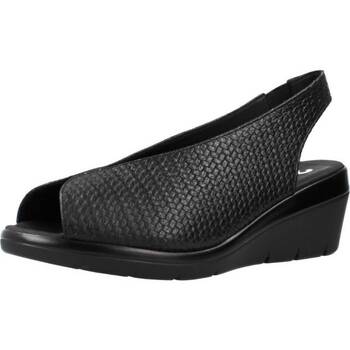 Schoenen Dames Sandalen / Open schoenen 24 Hrs 25656 Zwart