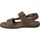 Schoenen Heren Sandalen / Open schoenen Walk & Fly 680-43770 Brown